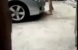 دختر با یک سگ ماده سکس کامل قدیمی سکسی توسط استخر